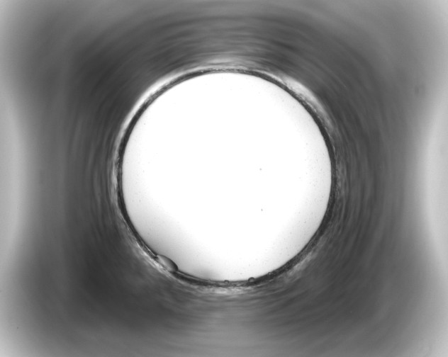 X0000084601288200703161811