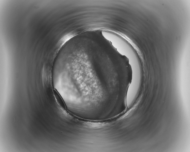 X0000084601289200703161811