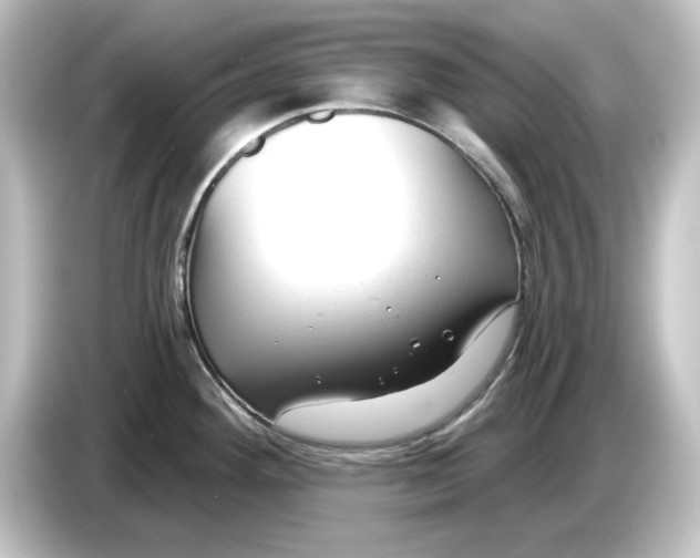 X0000084601292200703161811