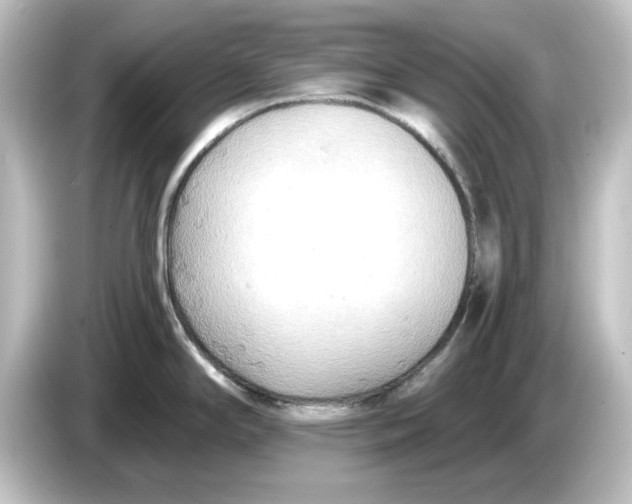 X0000084601294200703161811