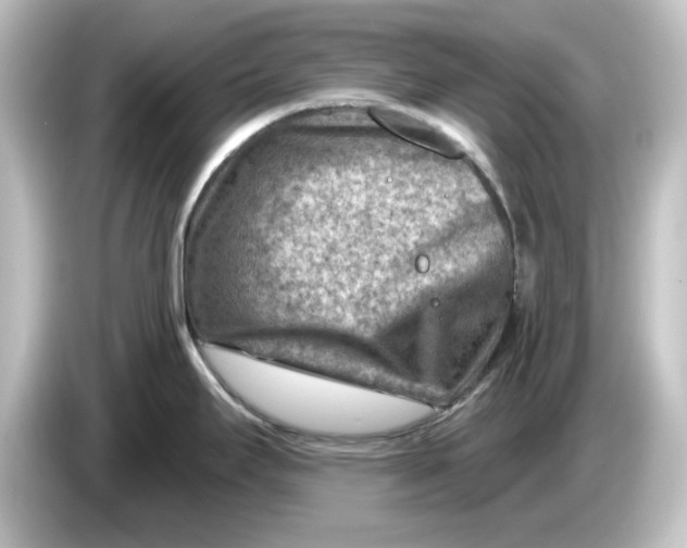 X0000084601295200703161811