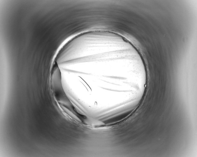 X0000084601296200703161811