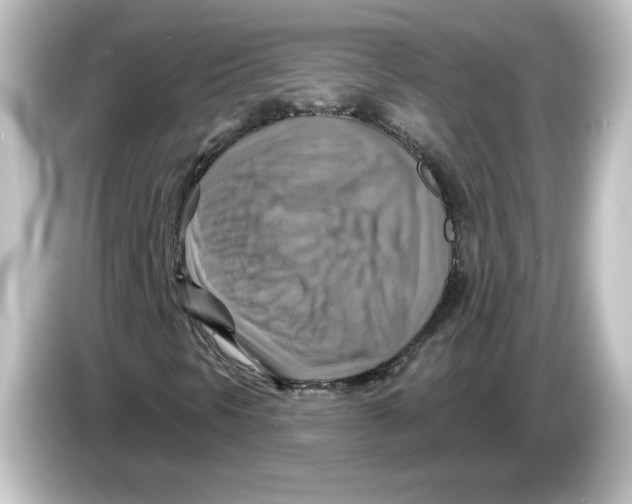 X0000084601297200703161811