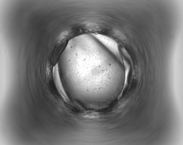 X0000084601298200703161811