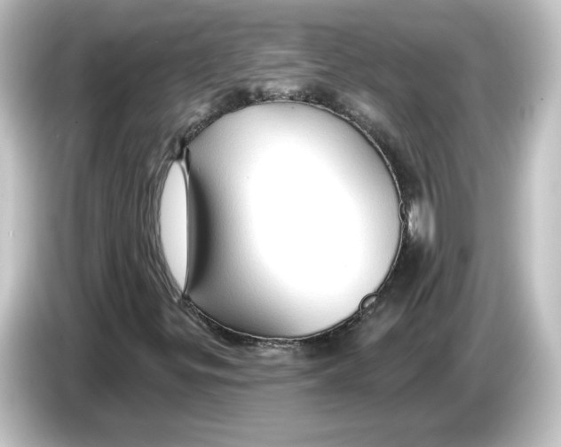 X0000084601299200703161811