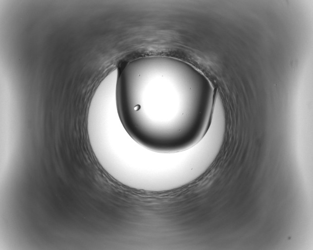 X0000084601300200703161811