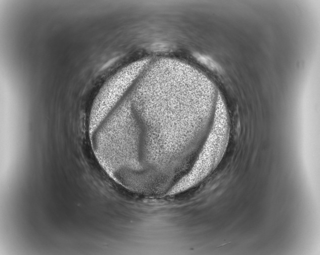 X0000084601301200703161811