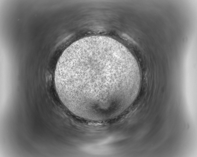 X0000084601302200703161811