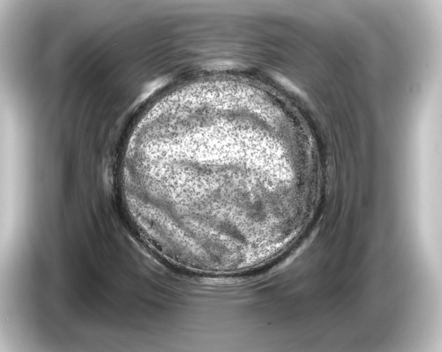 X0000084601305200703161811