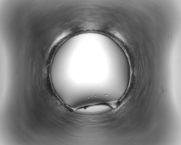 X0000084601309200703161811