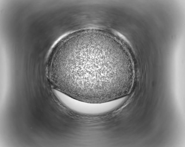 X0000084601310200703161811