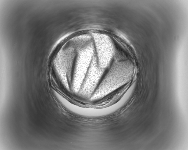 X0000084601312200703161811