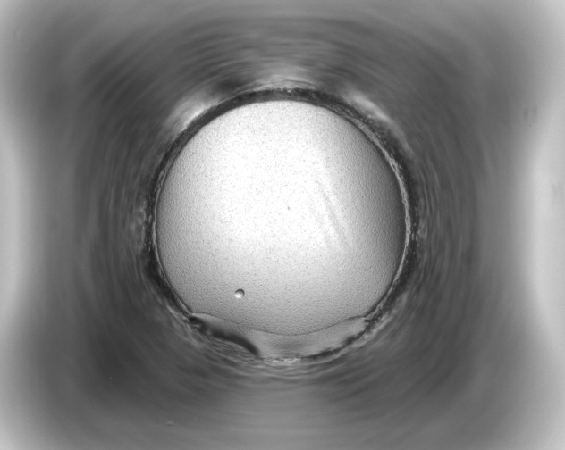 X0000084601313200703161811