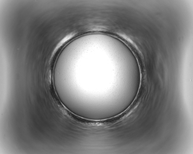 X0000084601317200703161811