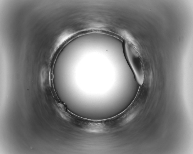 X0000084601320200703161811