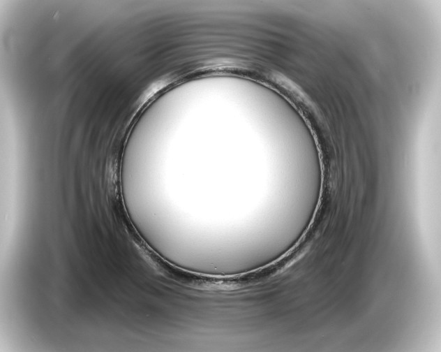 X0000084601321200703161811