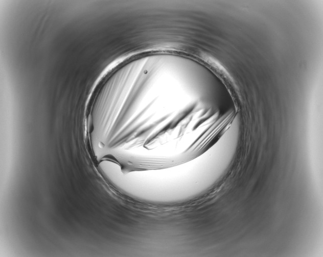 X0000084601324200703161811