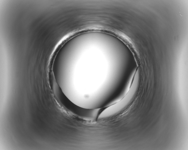 X0000084601326200703161811