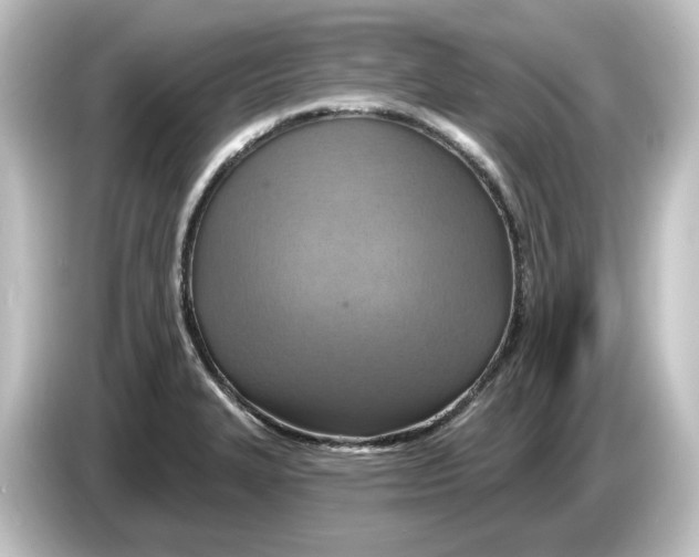 X0000084601327200703161811