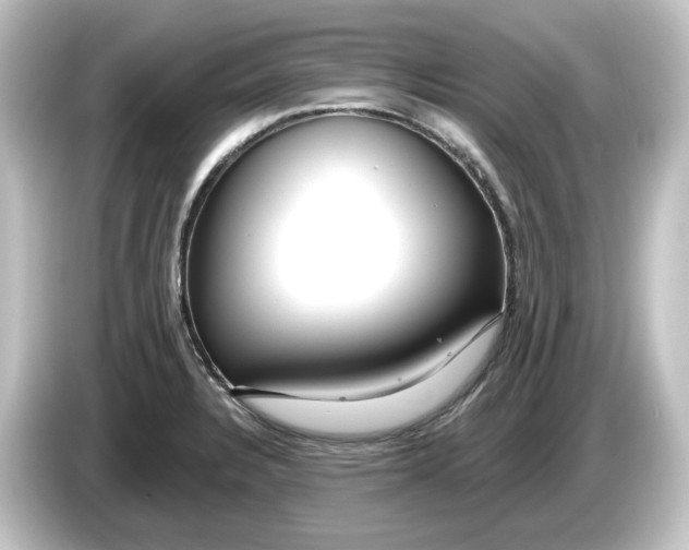 X0000084601328200703161811