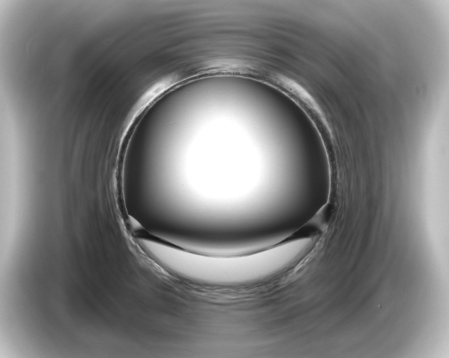 X0000084601330200703161811