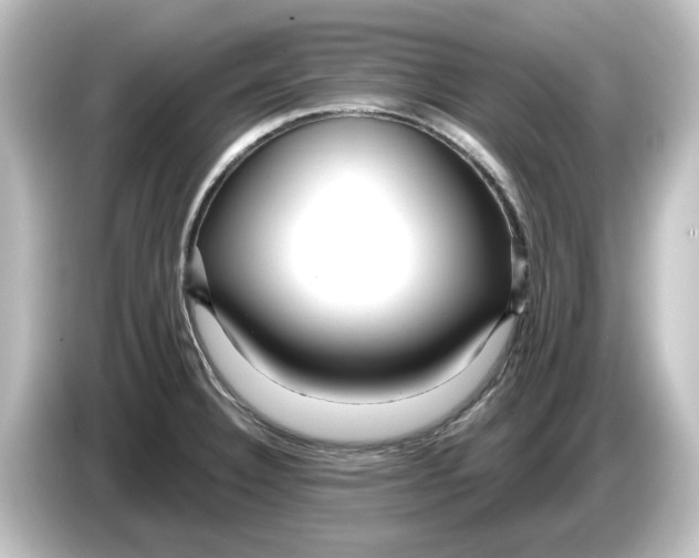 X0000084601332200703161811