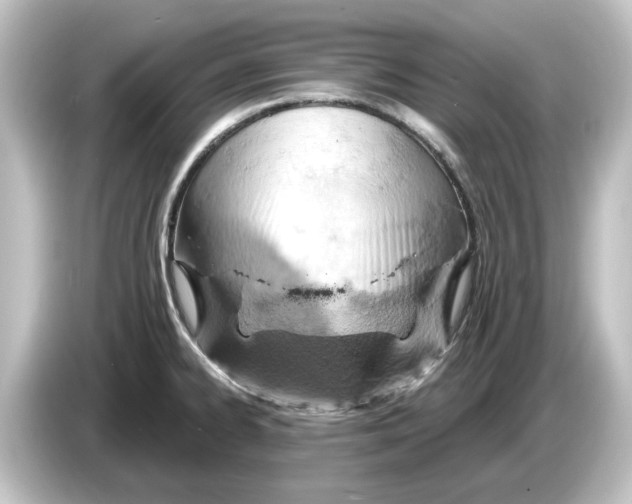 X0000084601334200703161811