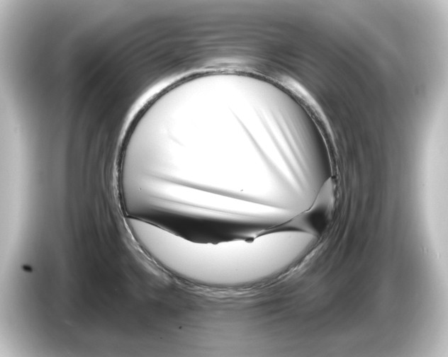 X0000084601336200703161811