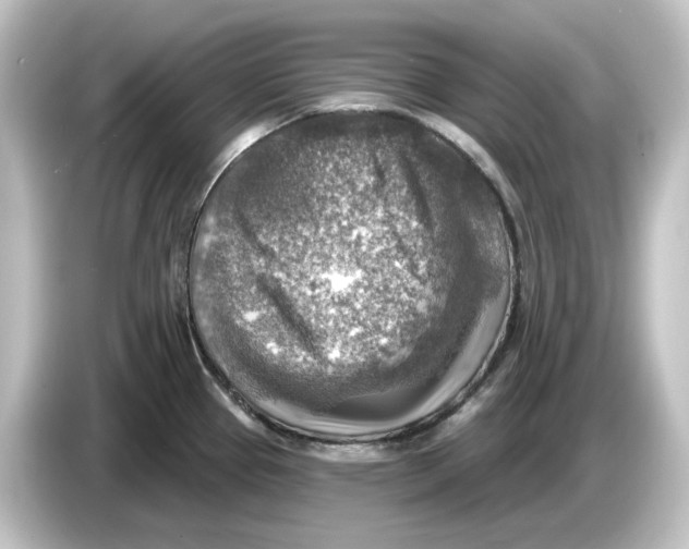 X0000084601337200703161811