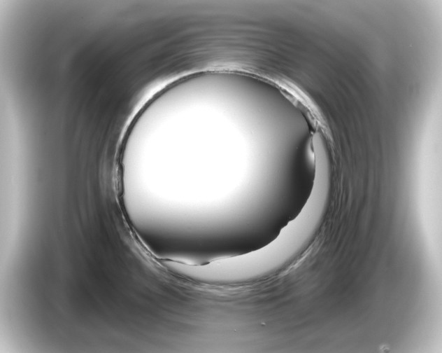 X0000084601340200703161811