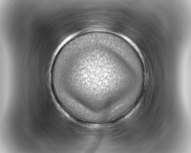 X0000084601341200703161811