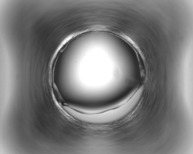 X0000084601342200703161811