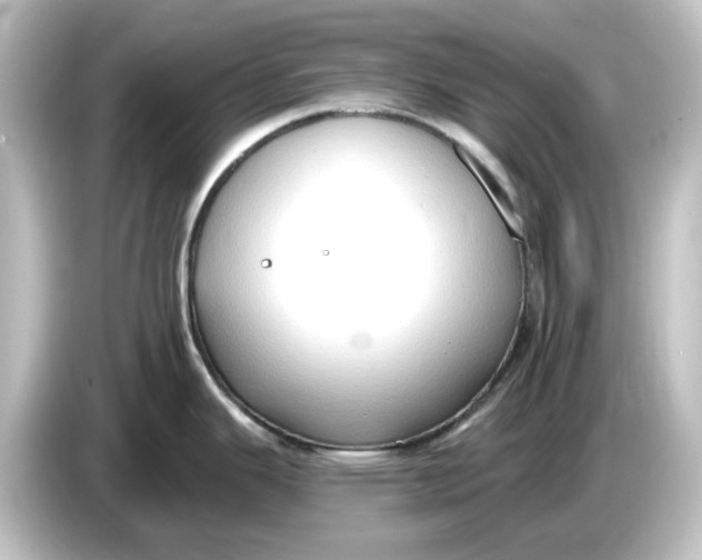 X0000084601343200703161811