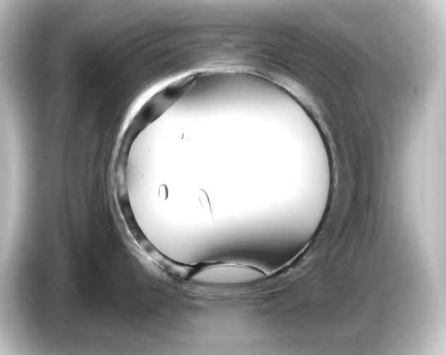 X0000084601344200703161811