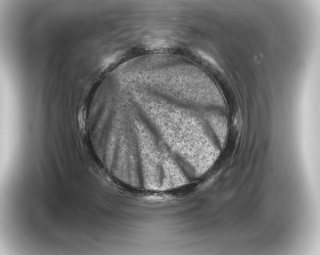 X0000084601348200703161810