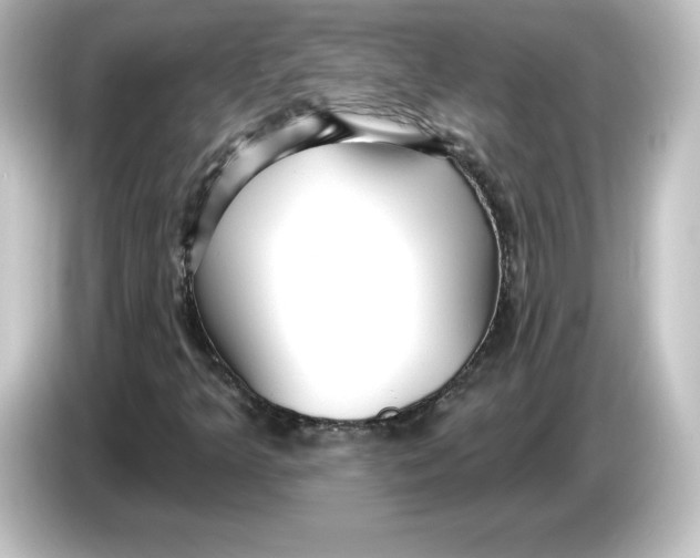 X0000084601349200703161810