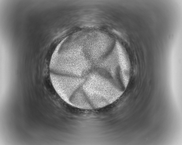 X0000084601350200703161810