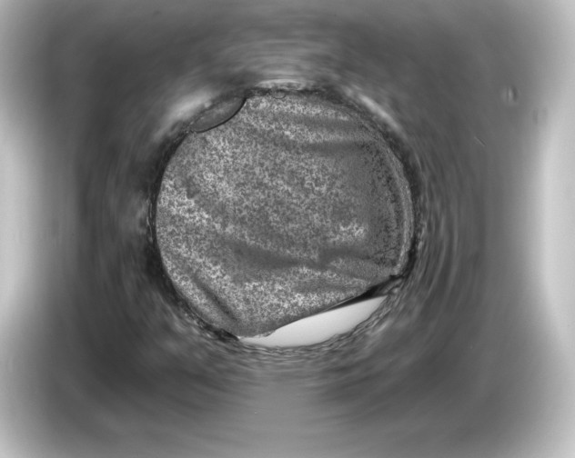 X0000084601351200703161810