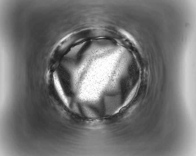 X0000084601352200703161810