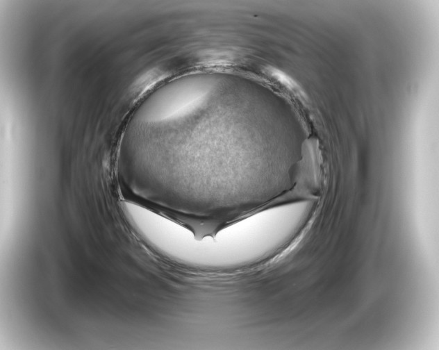 X0000084601353200703161810