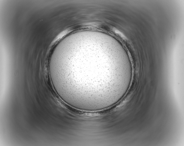 X0000084601354200703161810