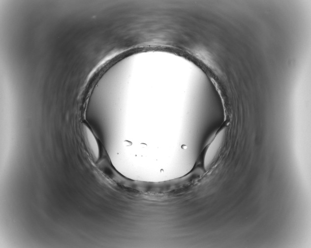 X0000084601356200703161810