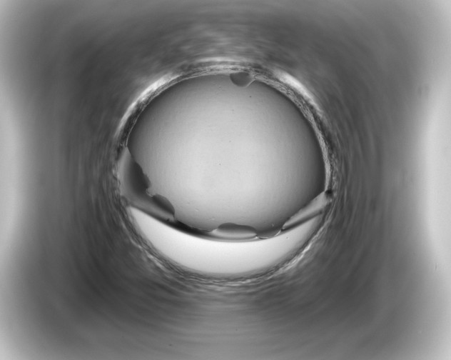 X0000084601357200703161810