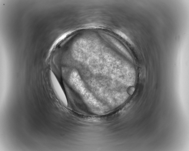 X0000084601358200703161810