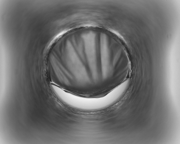 X0000084601359200703161810