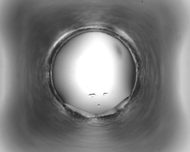 X0000084601360200703161810