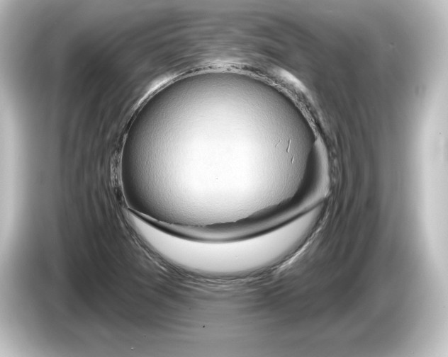 X0000084601361200703161810