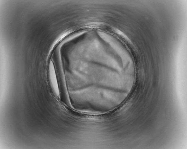 X0000084601362200703161810