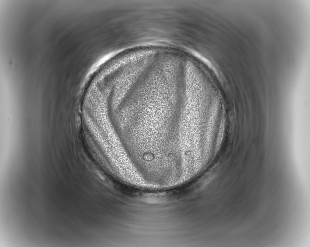 X0000084601363200703161810