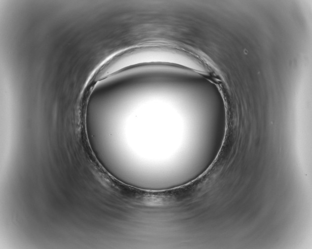 X0000084601364200703161810